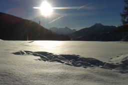 la-ville-chamois-il-territorio-07